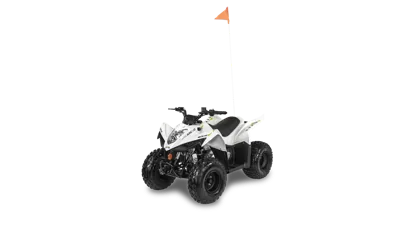 2027 Arctic Cat Alterra 110