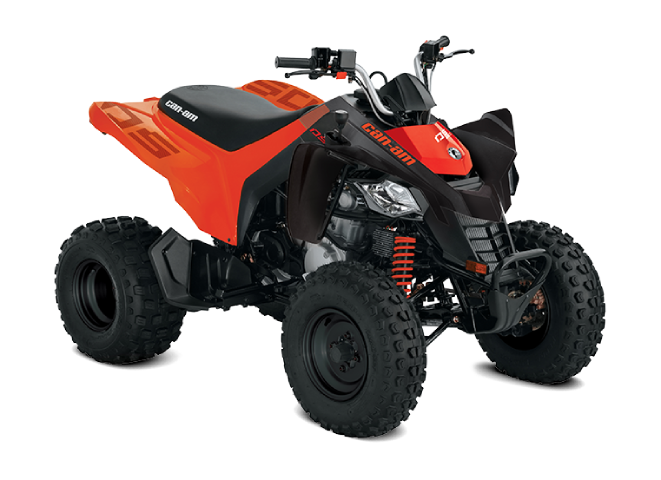 2026 Can-Am DS 250