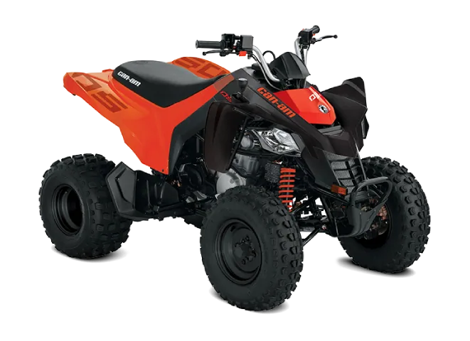 2027 Can-Am DS 250