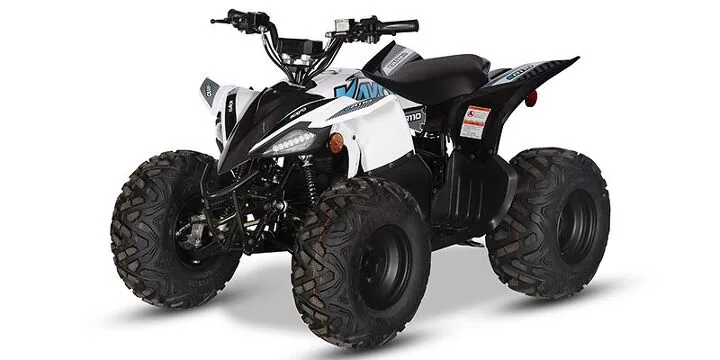 2026 Kayo EA110